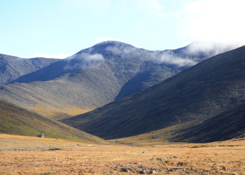 Остров Врангеля, Чукотка, Северный Ледовитый океан. Фото 4 – фотографии России