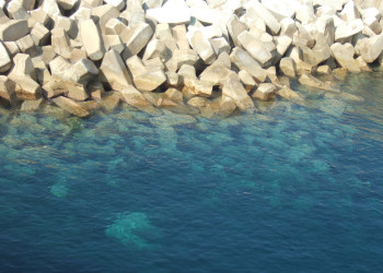 Чиркевва, Мальта остров, Мальта, фото № 43153 – фотографии Мальты