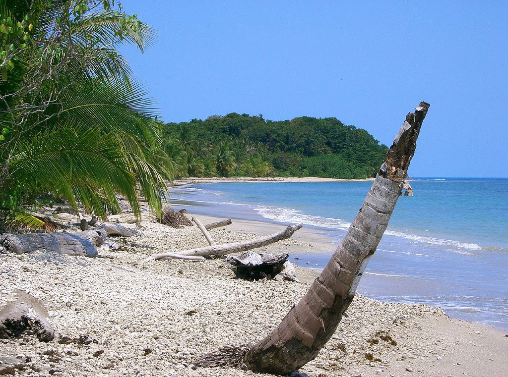 Кауита Национальный Парк, Лимон провинция, Коста-Рика, фото № 40076 – фотографии Коста-Рики