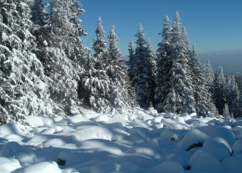 Пейзаж в Витоша, Болгария – фотографии Болгарии