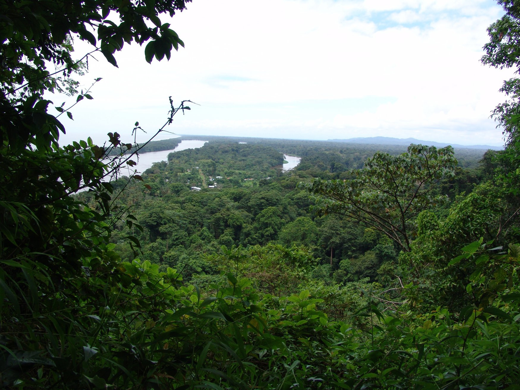 Тортугеро Национальный парк, Лимон провинция, Коста-Рика, фото № 40328 – фотографии Коста-Рики