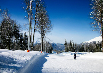 Трасса для беговых лыж в Газпроме – фотографии России