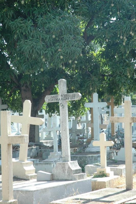 Санто-Доминго, Доминикана, фото № 30780 – фотографии Доминиканы