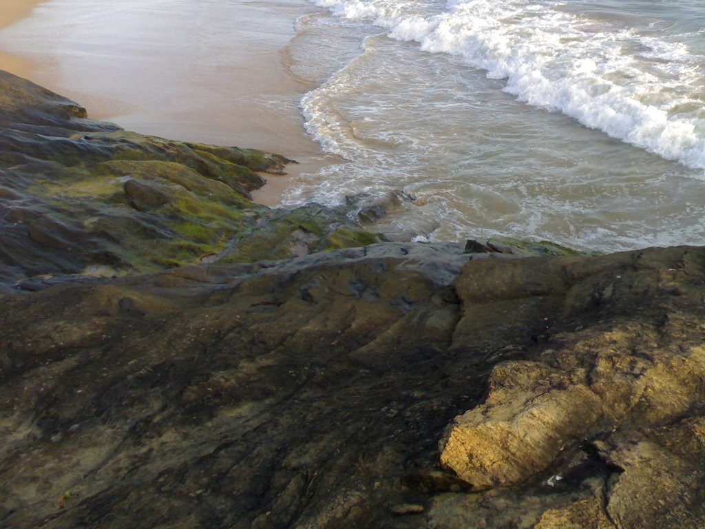 Индурува, Шри-Ланка, фото № 51166 – фотографии Шри-Ланки