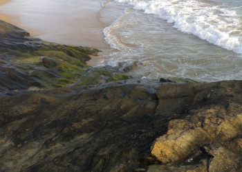 Индурува, Шри-Ланка, фото № 51166 – фотографии Шри-Ланки