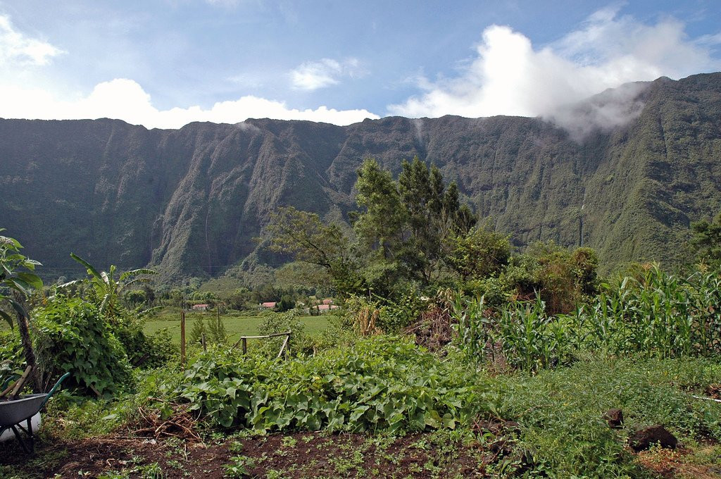 Плень-де-Палмист, Реюньон, фото № 25642 – фотографии Реюньона