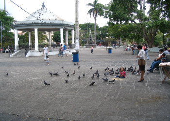 Хередия, Эредия провинция, Коста-Рика, фото № 40014 – фотографии Коста-Рики