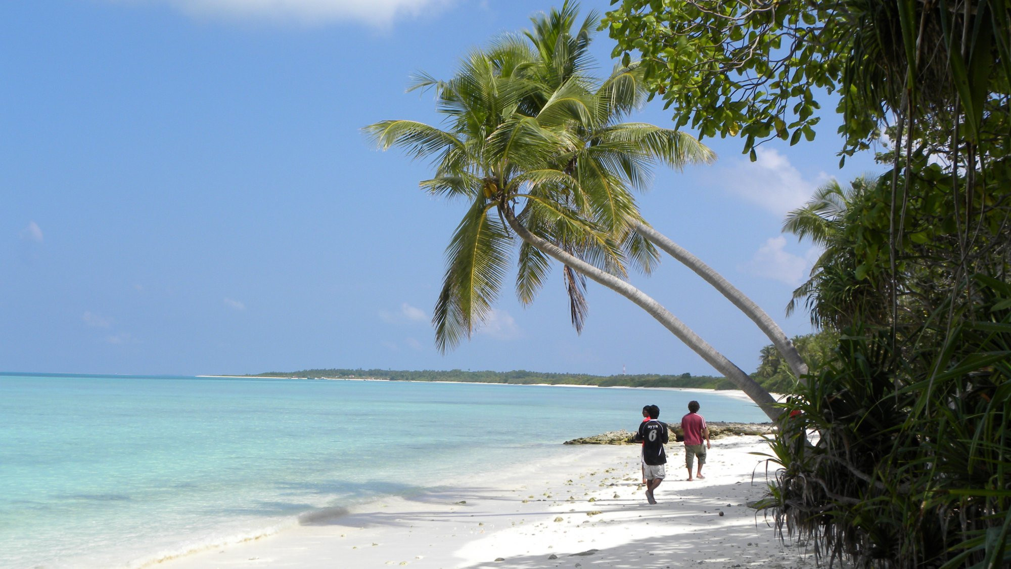 Пляж в Хаа Даалу Атолл, Мальдивы. Фото 4 – фотографии Мальдивских островов