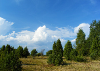 Аггтелек Национальный Парк, Венгрия, фото № 69687 – фотографии Венгрии
