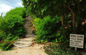 Вадиги остров, Маманука группа островов, Фиджи, фото № 48787 – фотографии Фиджи