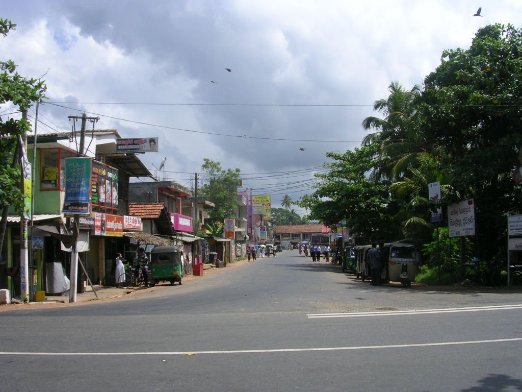 Велигама, Шри-Ланка, фото № 50844 – фотографии Шри-Ланки