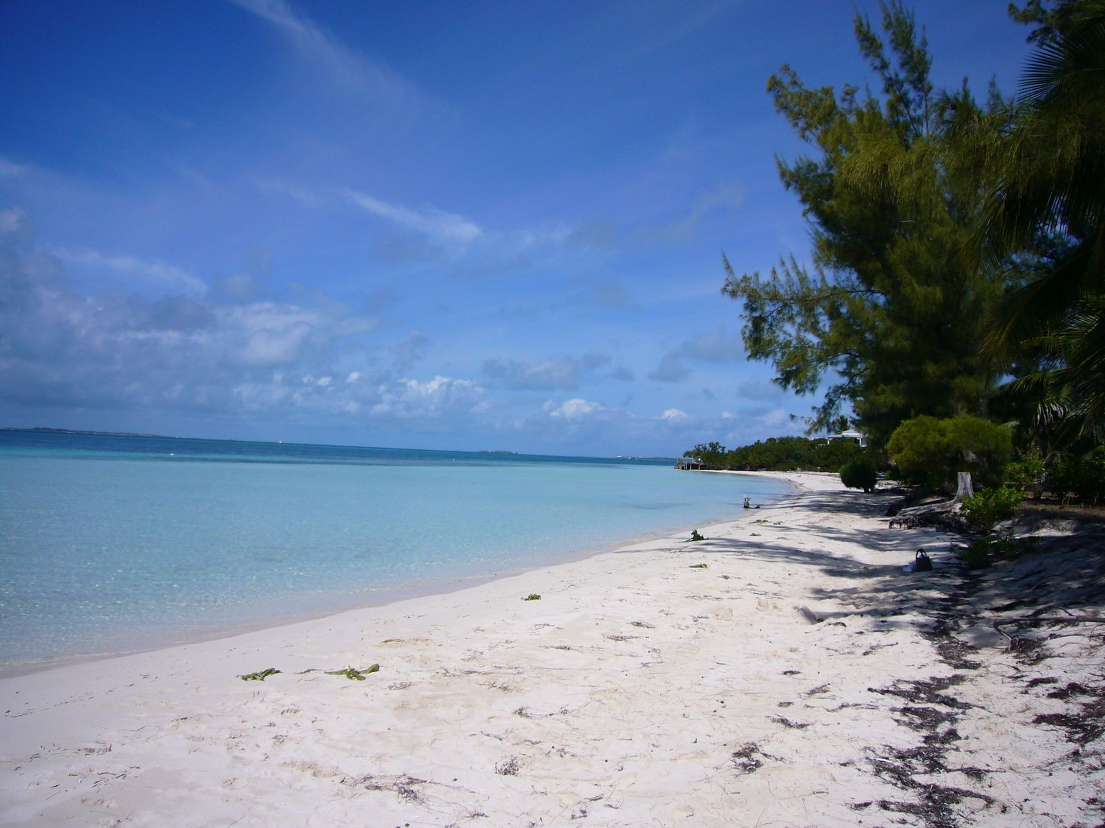 Берега на острове Абако, Багамские острова. Фото 8 – фотографии Багамских островов
