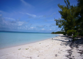 Берега на острове Абако, Багамские острова. Фото 8 – фотографии Багамских островов