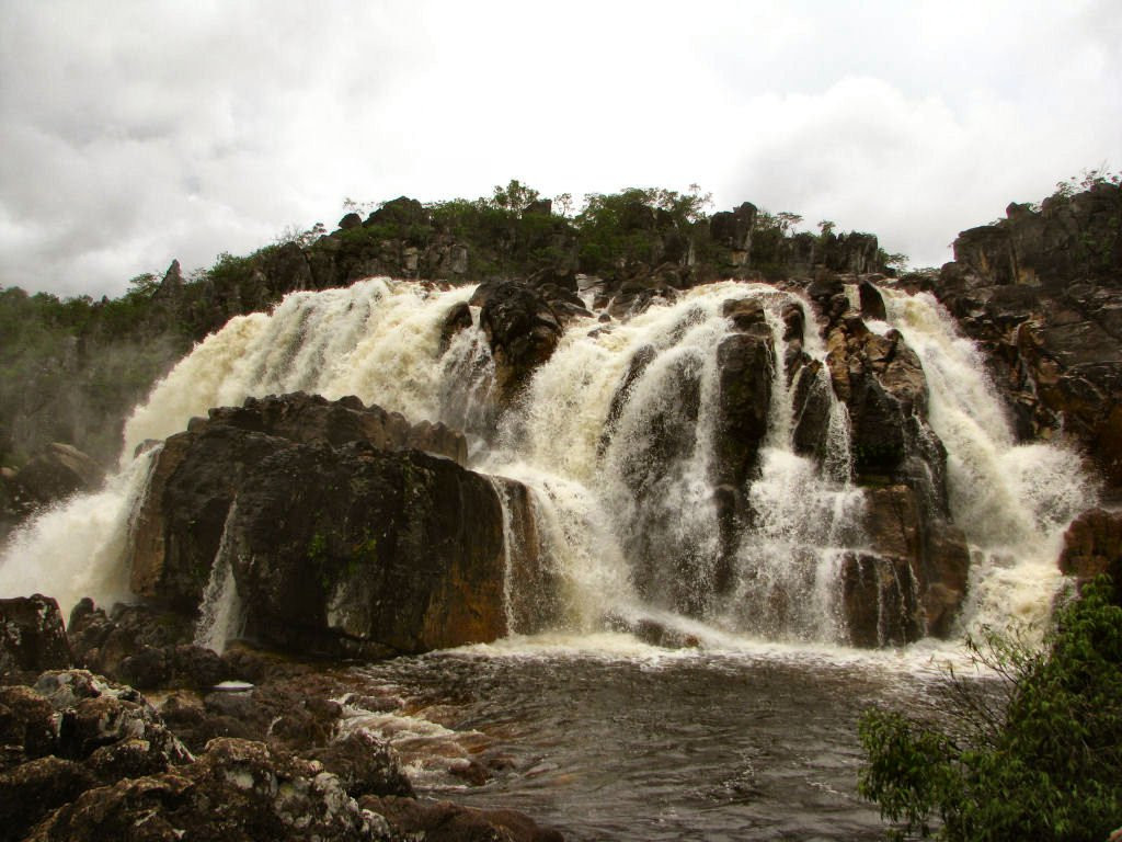 Шапада-дус-Веадейрус Национальный Парк, Бразилия, фото № 60573 – фотографии Бразилии