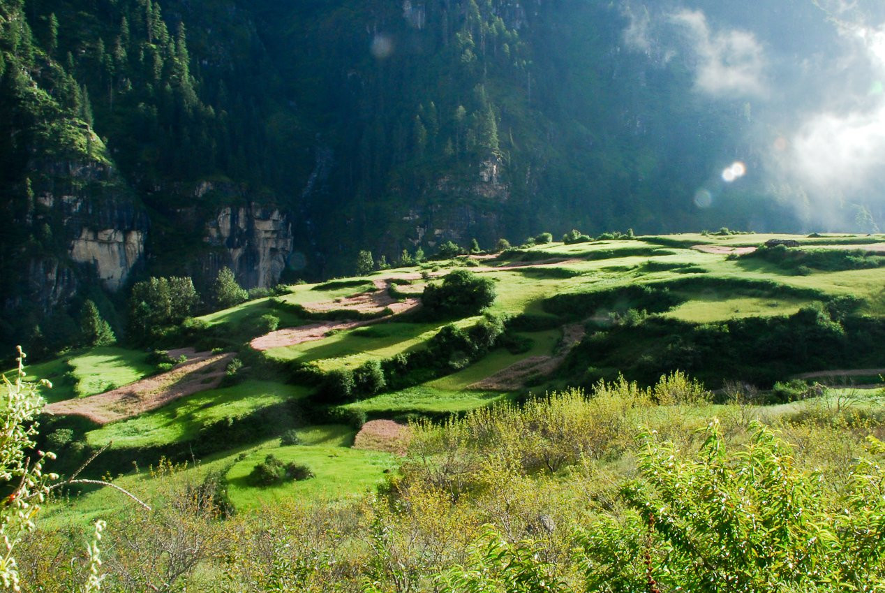 Аннапурна заповедник, Непал, фото № 78884 – фотографии Непала