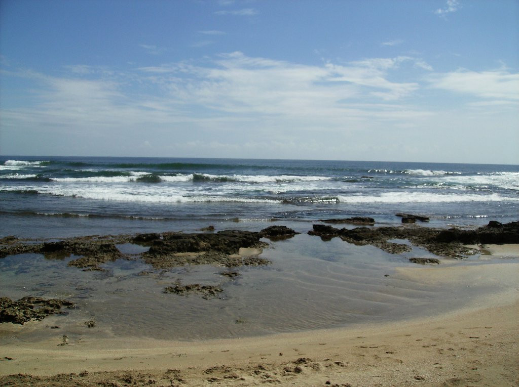 Пуэрто Вьехо, Лимон провинция, Коста-Рика, фото № 40195 – фотографии Коста-Рики