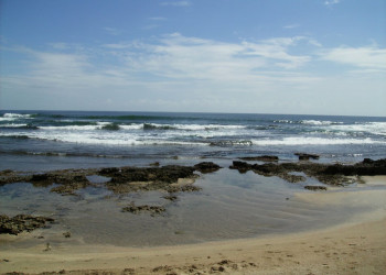 Пуэрто Вьехо, Лимон провинция, Коста-Рика, фото № 40195 – фотографии Коста-Рики