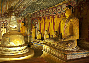 Дамбулла, Шри-Ланка, фото № 51040 – фотографии Шри-Ланки