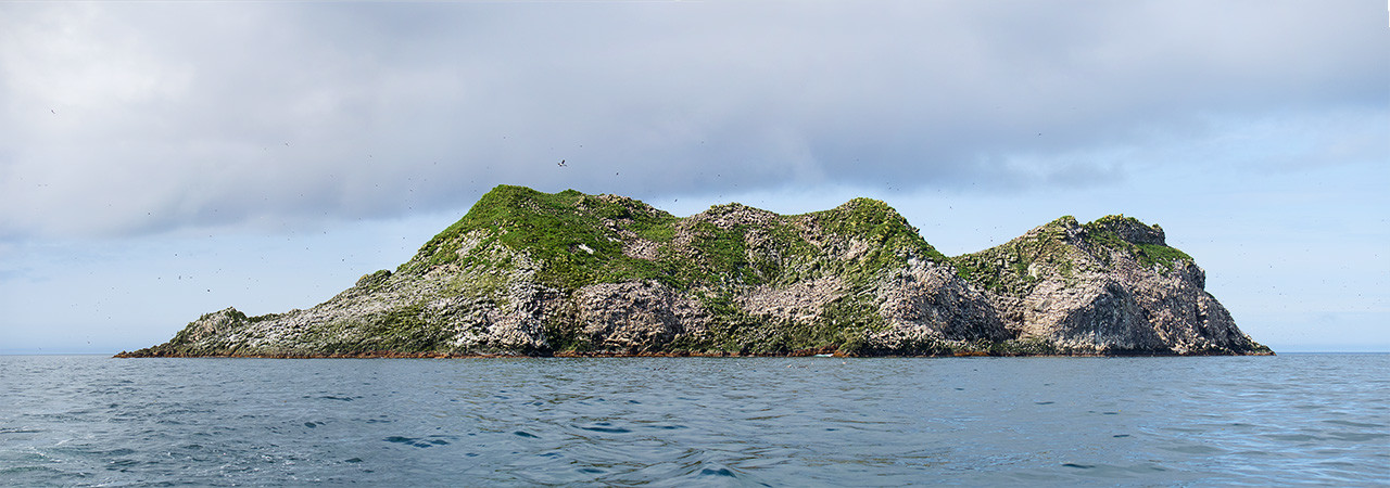 Командорские остров, остров Беринга – фотографии России