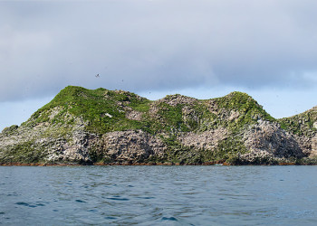 Командорские остров, остров Беринга  – фотографии России