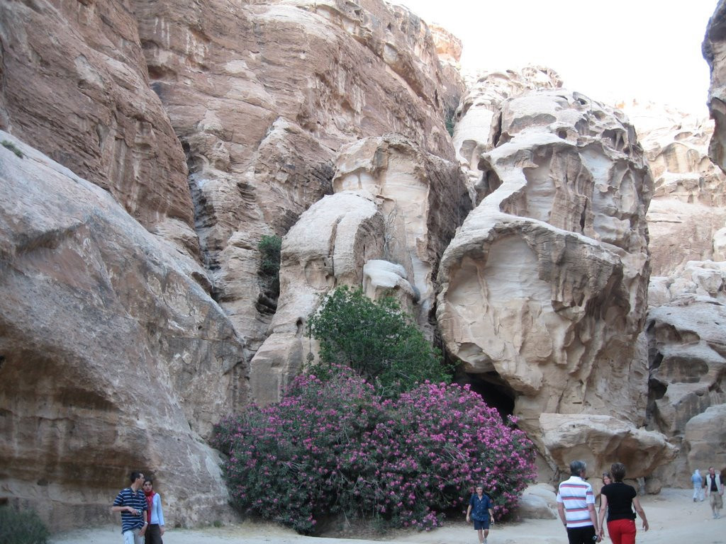 Петра, Иордания, фото № 37275 – фотографии Иордании