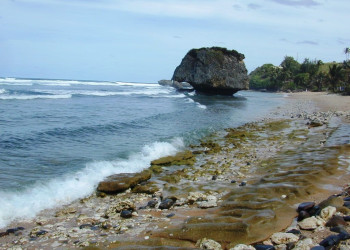 Берега на острове  Батшиба, Барбадос. Фото 9 – фотографии Барбадоса