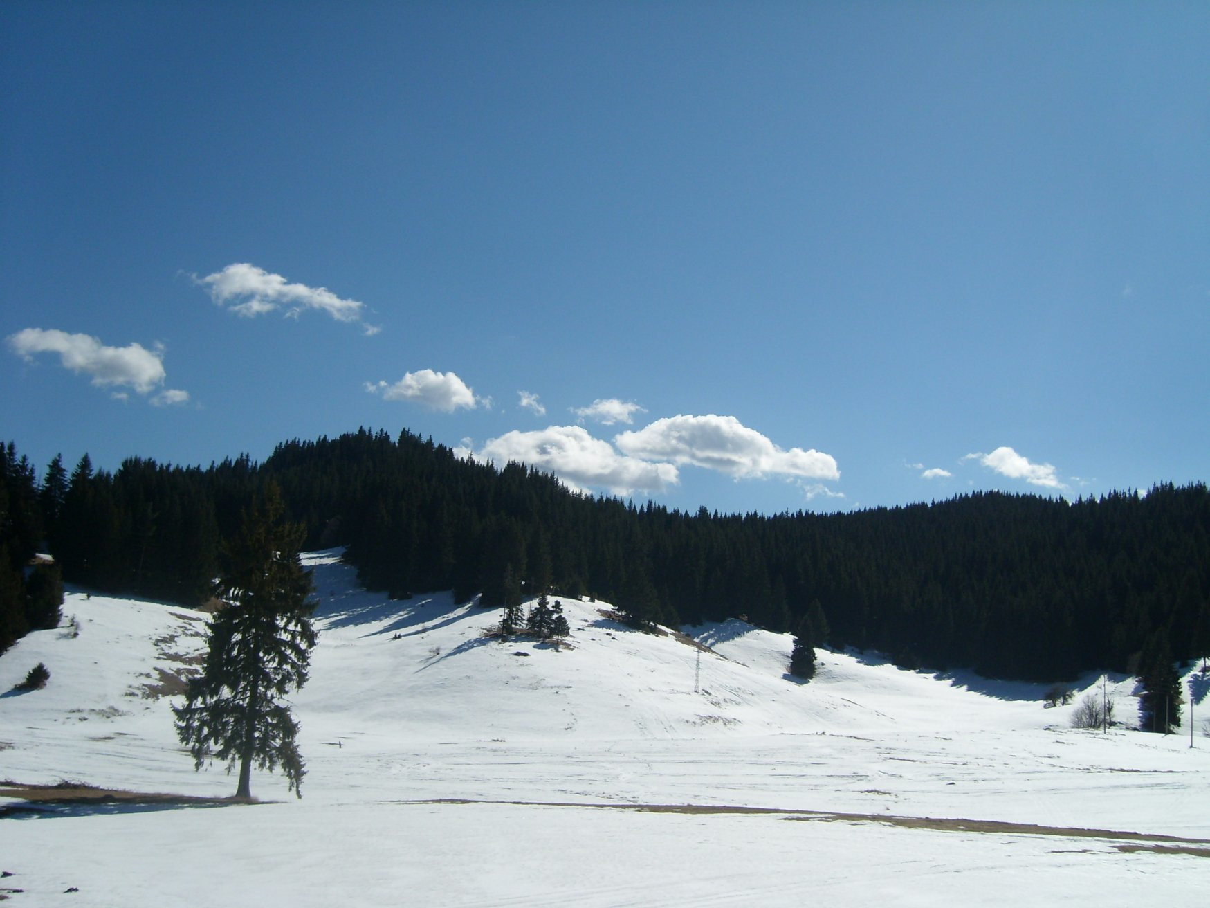 Зима в Пампорово, Болгария. Фото 5 – фотографии Болгарии