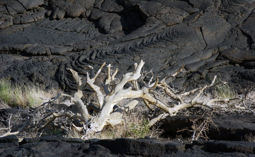 Эфиопское нагорье, Эфиопия. Фото 1 – фотографии Эфиопии