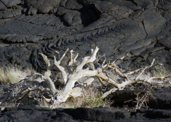 Эфиопское нагорье, Эфиопия. Фото 1 – фотографии Эфиопии