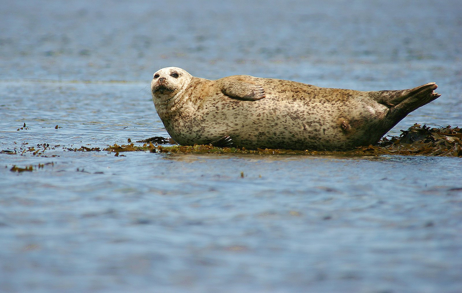 Ирландия, фото № 2573 – фотографии Ирландии