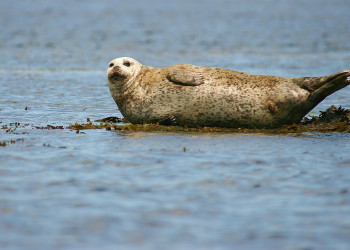 Ирландия, фото № 2573 – фотографии Ирландии