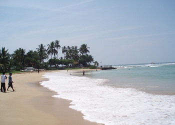 Шри-Ланка, фото № 1169 – фотографии Шри-Ланки