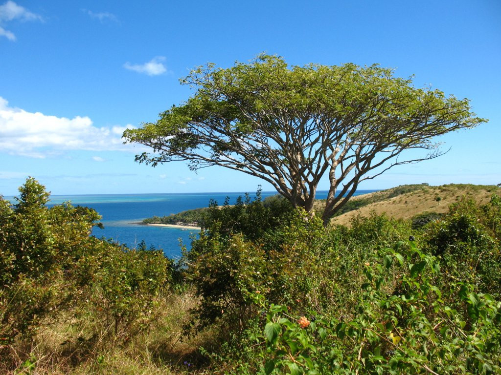 Нанану-и-Ра остров, Вити Леву группа островов, Фиджи, фото № 49797 – фотографии Фиджи