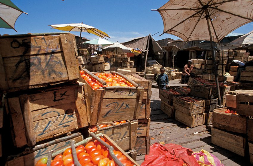 Мадагаскар, фото № 2310 – фотографии Мадагаскара