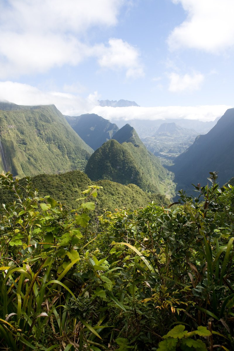 Салази, Реюньон, фото № 25820 – фотографии Реюньона
