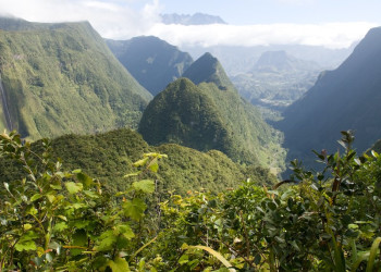 Салази, Реюньон, фото № 25820 – фотографии Реюньона