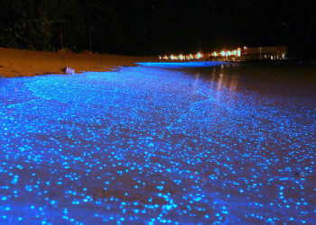 Светящийся пляж, остров Ваадху, Мальдивы – фотографии Мальдивских островов