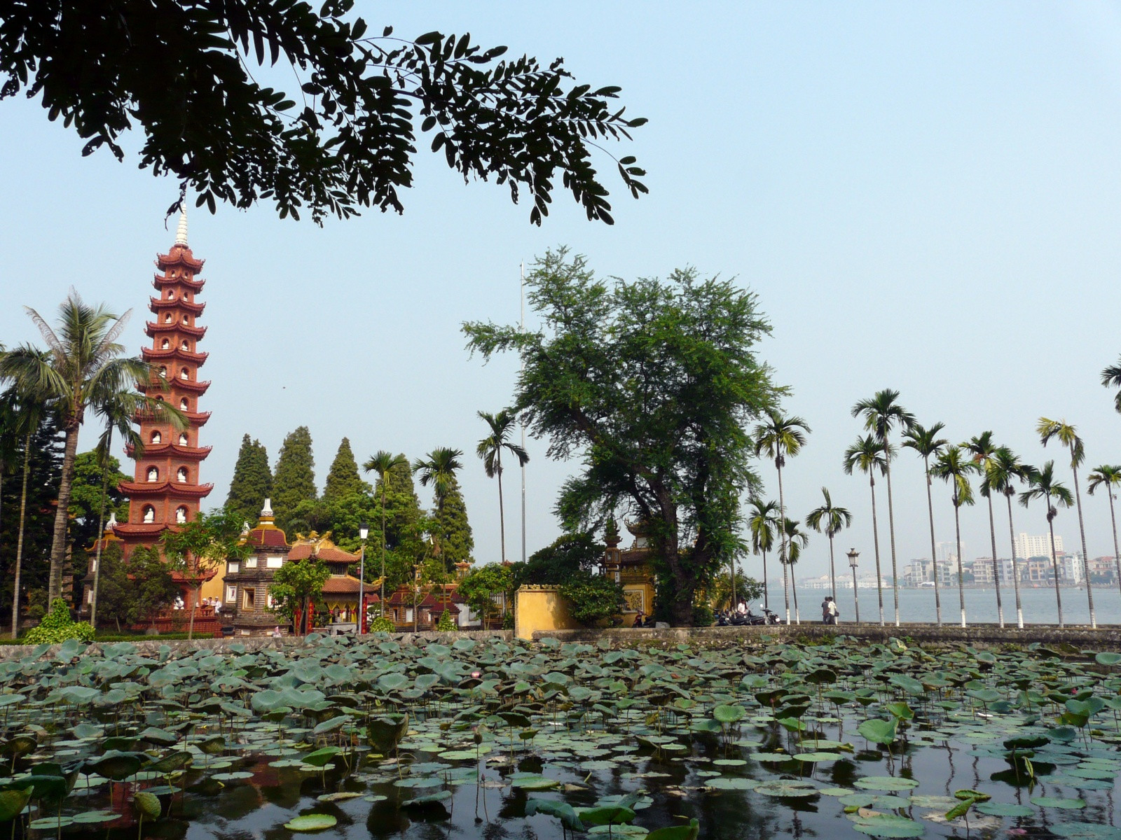 Пагода Чан Куок на Западном озере – фотографии Вьетнама