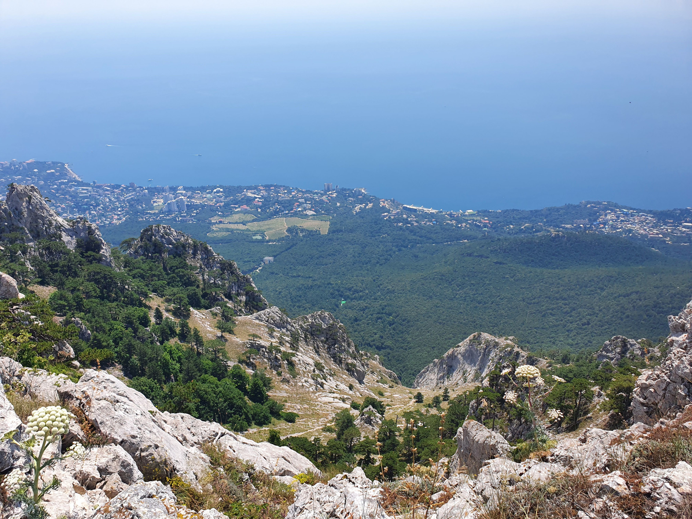 Подъем на Ай-Петри – фотографии России