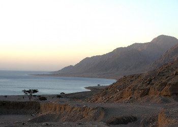 Нувейба, Египет, фото № 35347 – фотографии Египта