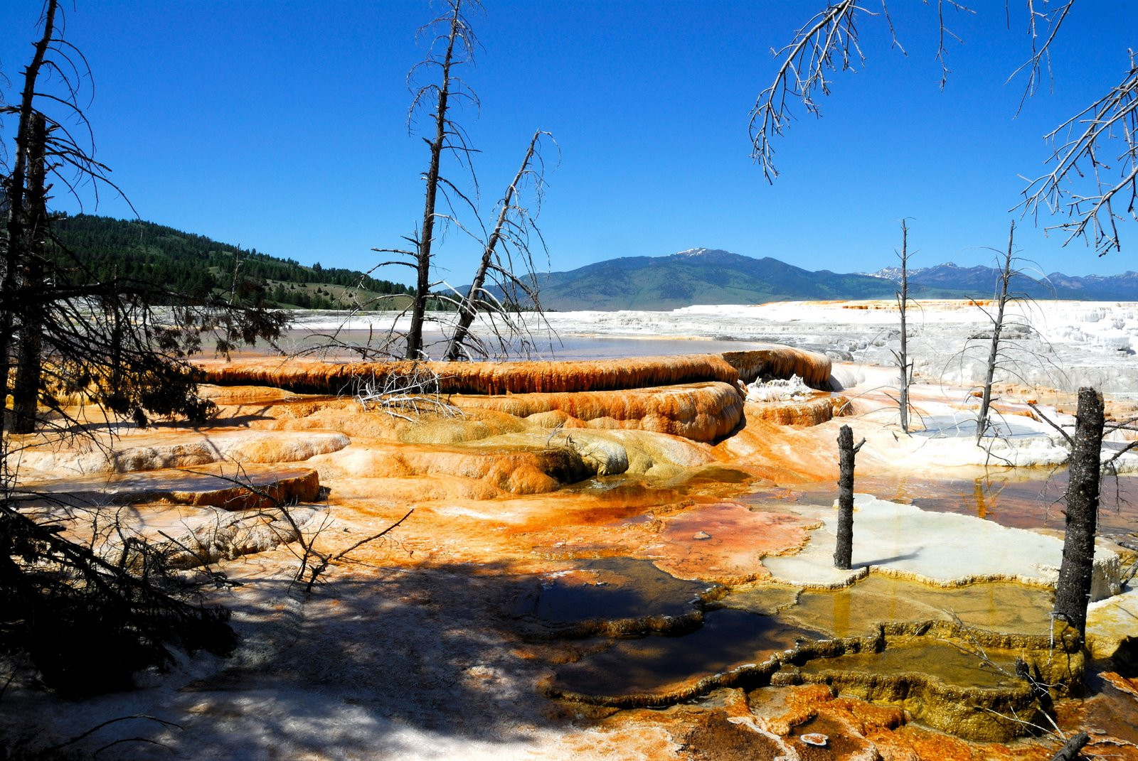 Национальный парк Йеллоустон. Фото 1 – фотографии США