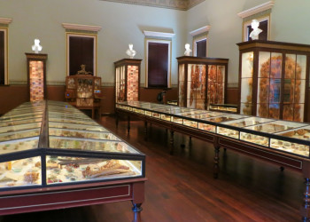 Музей "Santos Museum of Economic Botany" в Аделаиде, фото 1 – фотографии Австралии