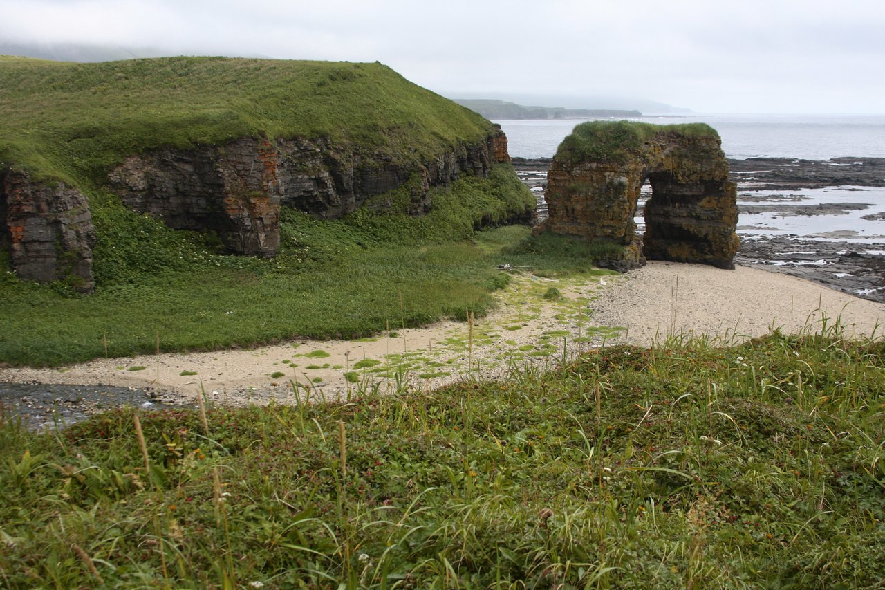 Командорский заповедник. Фото 6 – фотографии России