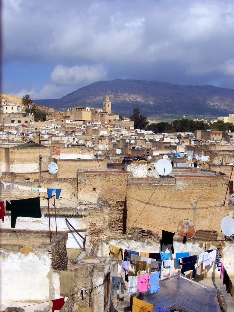 Фес, Марокко, фото № 8502 – фотографии Марокко