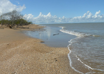 Суринам, фото № 4664 – фотографии Суринама