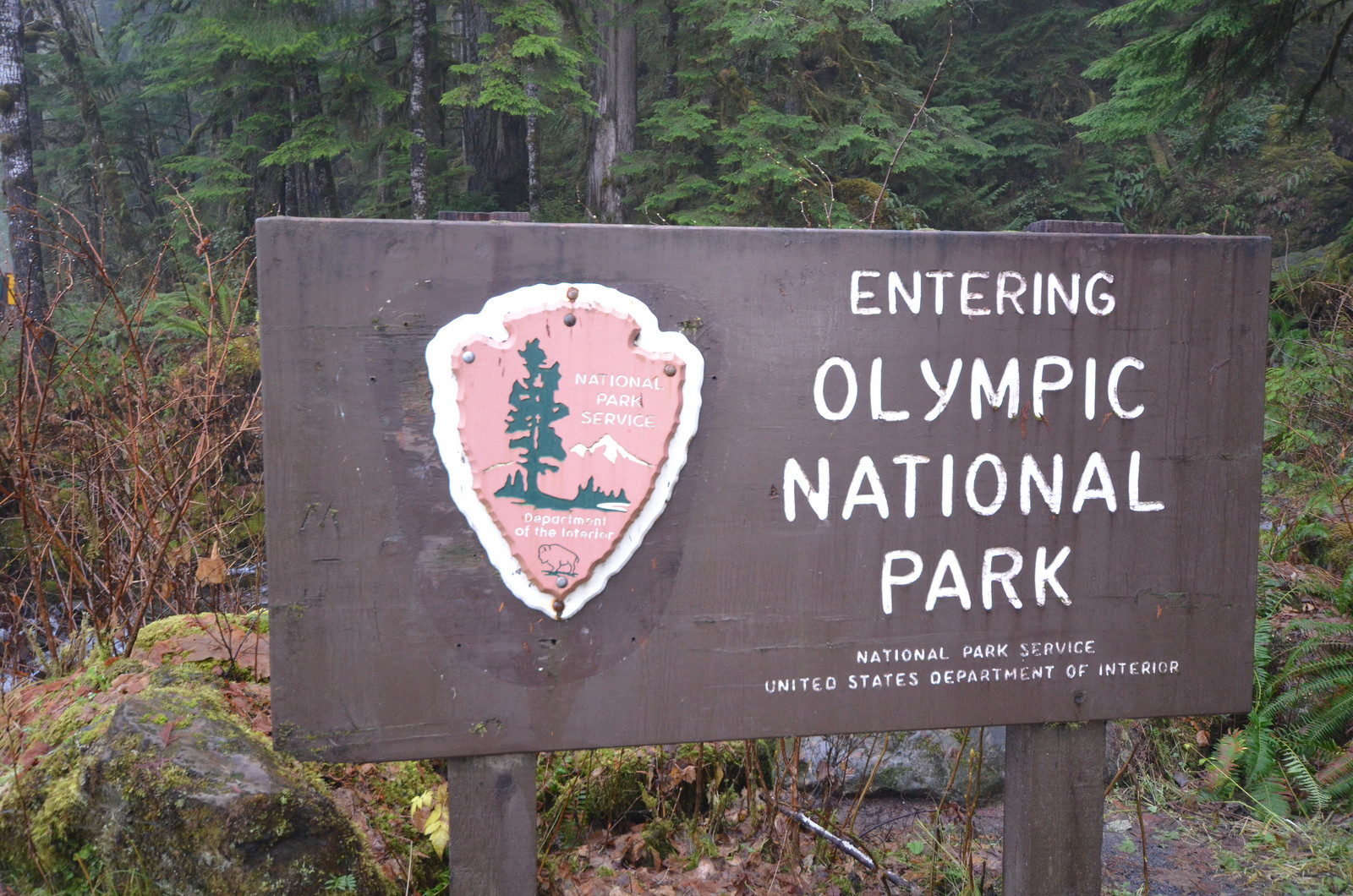 Олимпик (национальный парк). США. Фото 2 – фотографии США