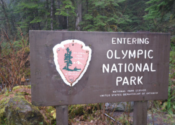 Олимпик (национальный парк). США. Фото 2 – фотографии США