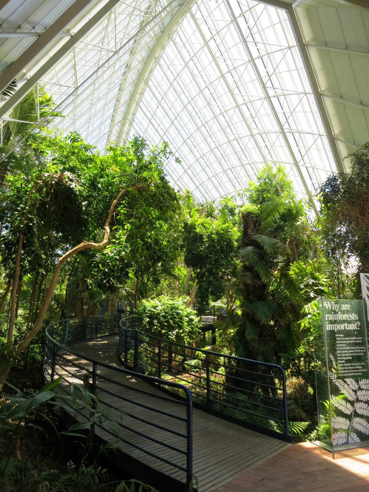 В Ботаническом саду Аделаиды – фотографии Австралии