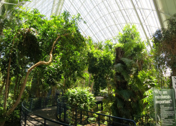 В Ботаническом саду Аделаиды – фотографии Австралии