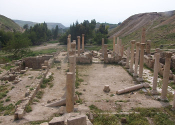 Пелла, Иордания, фото № 37120 – фотографии Иордании